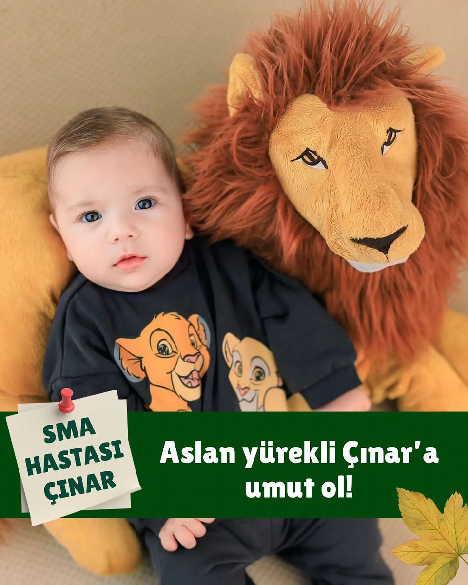 Çınar’ın güçlü bir şekilde hayata tutunabilmesi için sen de bu yolculuğun bir parçası ol.
👉 Bir bağış, bir paylaşım, bir umut…
@smacinarbebek

#pazartesi
KKTC
Ersin Tatar
Rumlar
Günaydınlar