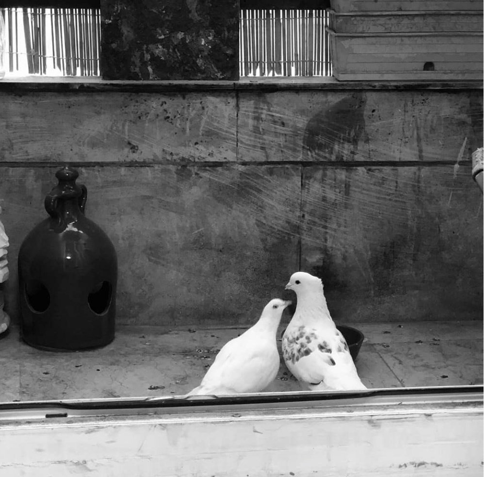 Post a picture you took