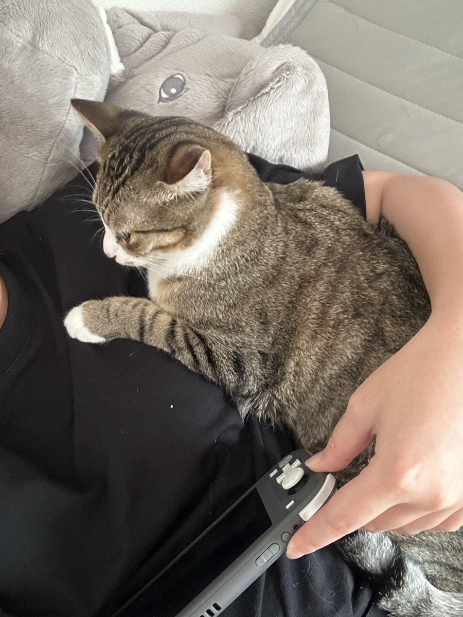 コタロウ様ご依頼ページ ｺﾀﾛｰ。✦ご依頼募集中 (@hide____seek) / Posts / X