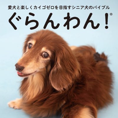 grandwan1's tweet photo. #新しいプロフィール画像 https://t.co/wHhbK0glZ1