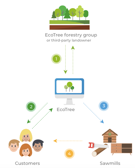 CsuiteTechPoint's tweet image. This company pays you back for planting trees @WEFUpLink bit.ly/38YsHa3 #forests #environment @EcoTree_contact
rt @wef