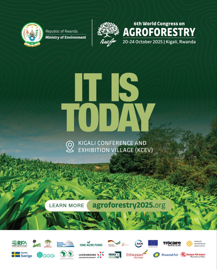 wcagroforestry's tweet image. Today is the day!
Global experts, policymakers, and farmers are in Kigali for the 6th World Congress on Agroforestry to explore how agroforestry can enable nature positive growth, sustainable livelihoods and climate resilience.
#WCA2025🌳 | #MeetInRwanda