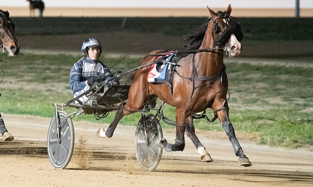 Harness Racing SA tweet media