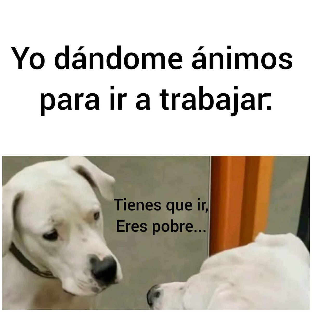 Buenos días, vamos por otra semana