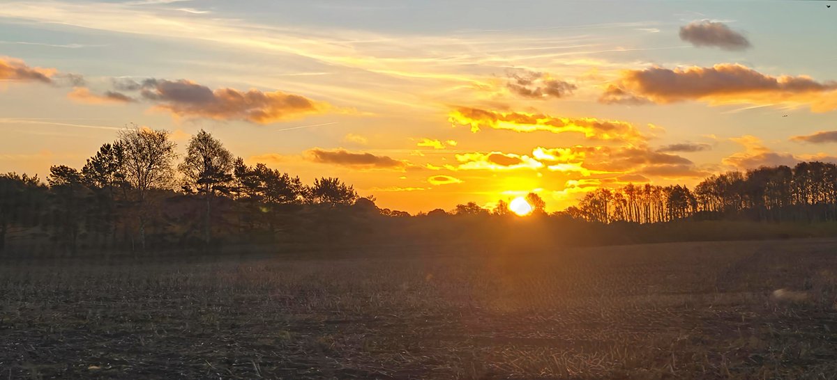 _Frodda's tweet image. Godmorgon mina X