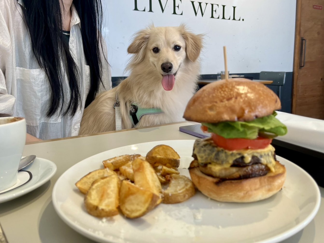 とろろページです♡ とろろ (@to6to6to66) / X