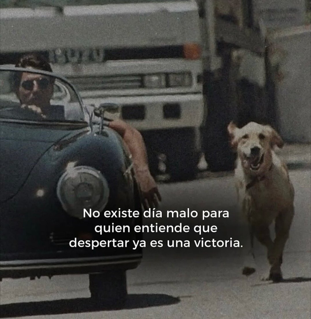 BANDIDOS (@bandidosfrasess) on Twitter photo 