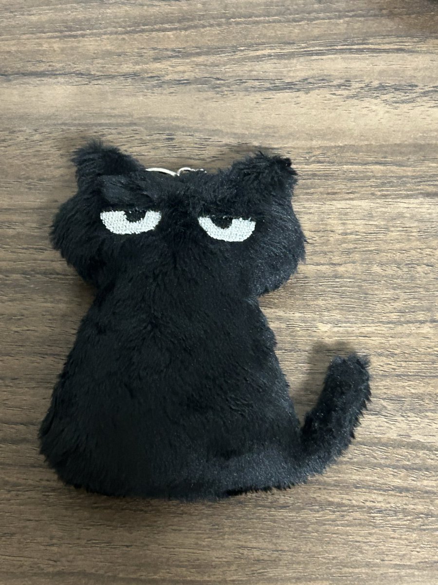 わーい🙌届いてた🐈‍⬛

ずっと多忙で今週もギッチギチだけど元気でた︎💕︎︎

触り心地良すぎでずっと撫でてます🥰

楽器ケースにつけよ😚
 #ジト目の黒猫