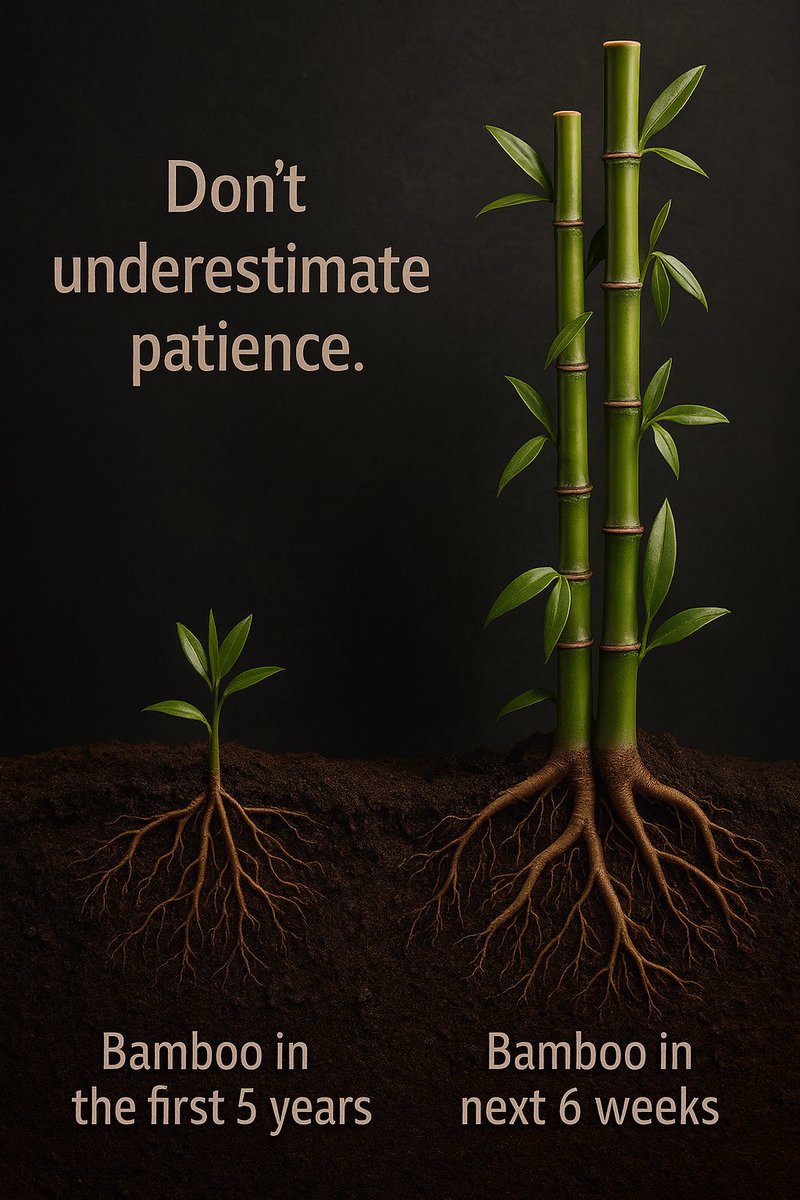 concept124's tweet image. Don’t underestimate patience. 🌱

Like bamboo — nothing seems to happen for years, and then it grows incredibly fast.
Success takes time, roots, and quiet consistency.
#Motivation #Growth #Mindset