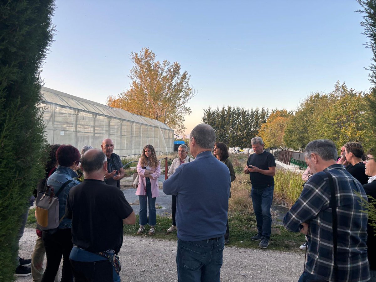 Foresna Zurgaia tweet media