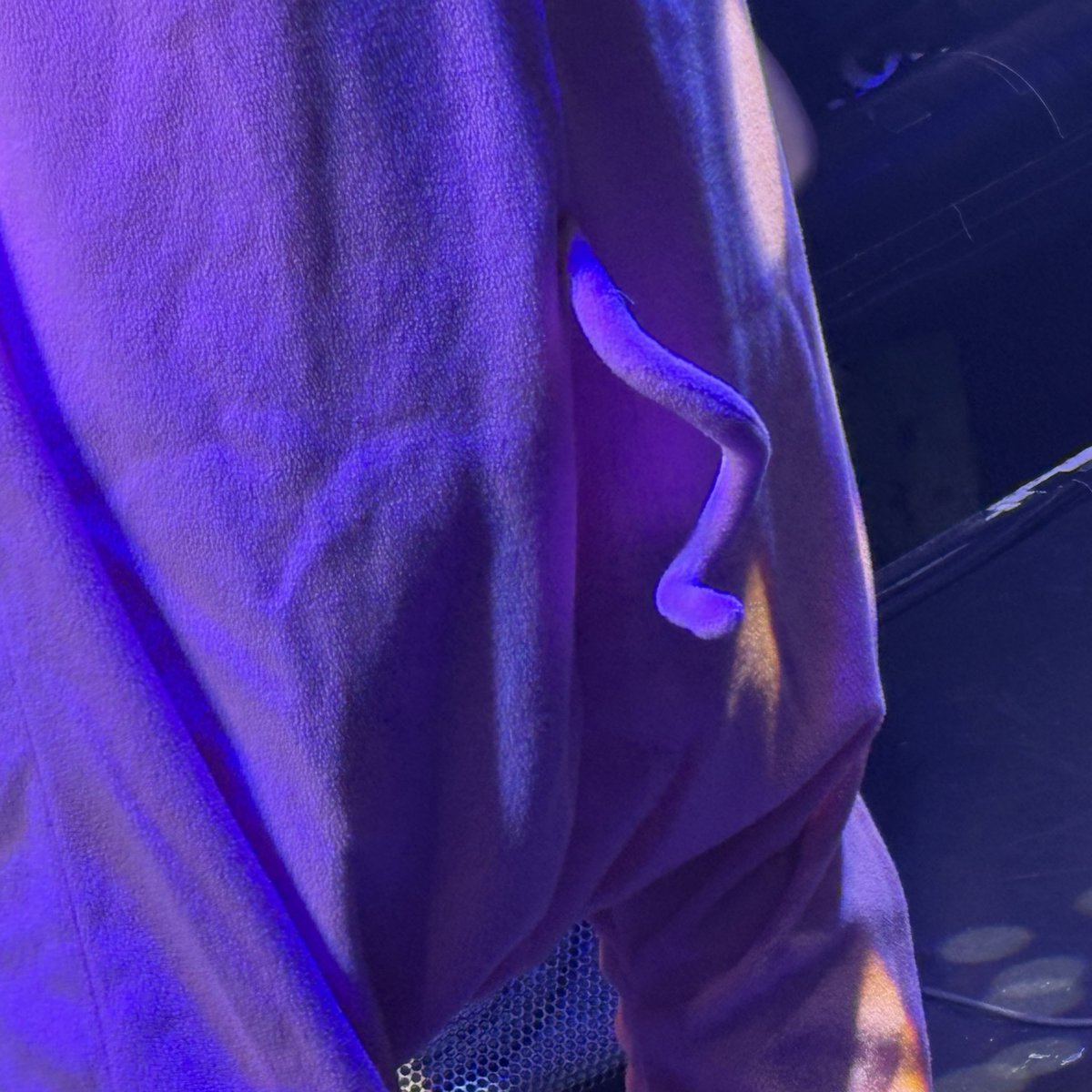 Ricky.A.P👽愛称:リケピー🚀 (@Ricky_A_Prmkv) / X