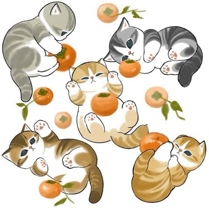 mofu_sand's tweet image. まるまるだねー🟠