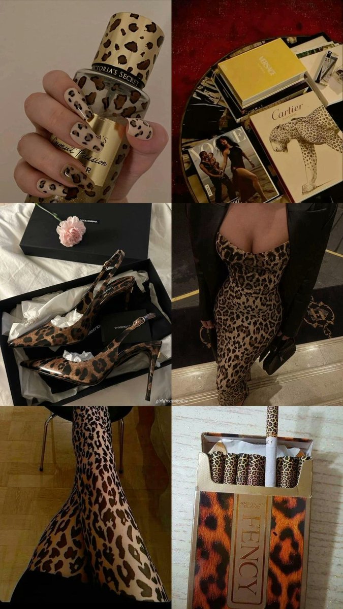 girldreamhouse's tweet image. 