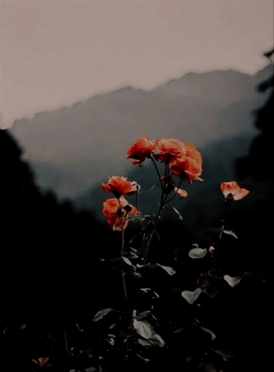 “O may it come, the time of love,
The time we'd be enamoured of.”

Arthur Rimbaud
Song of the Highest Tower