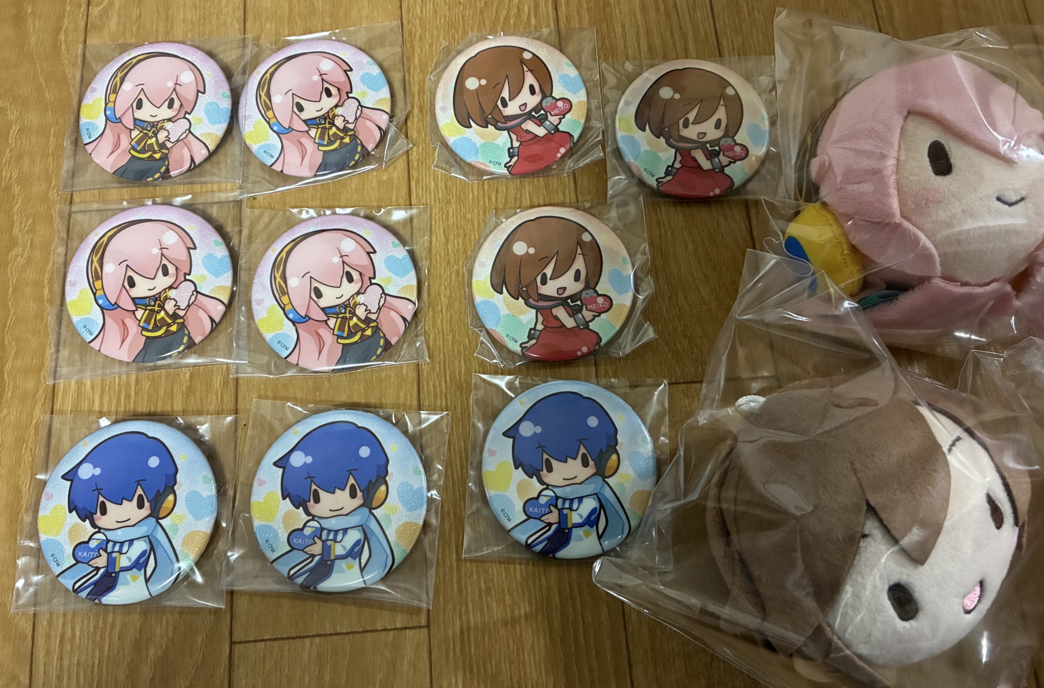 倖田來未 缶バッチ 16個 被りなし KODA KUMI LIVE TOUR 2024 ～BEST