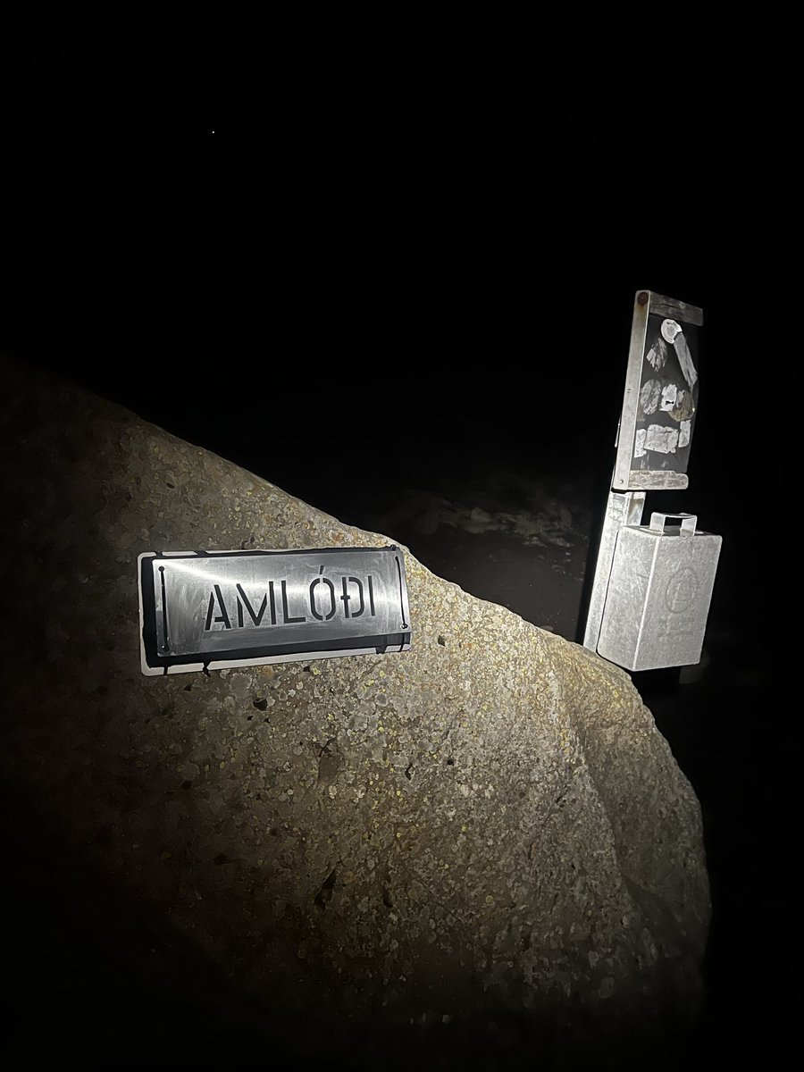 Hver myndi eiginlega nenna að panta skilti, ganga með það upp að Steini og festa það þar í skjóli nætur? Hver???