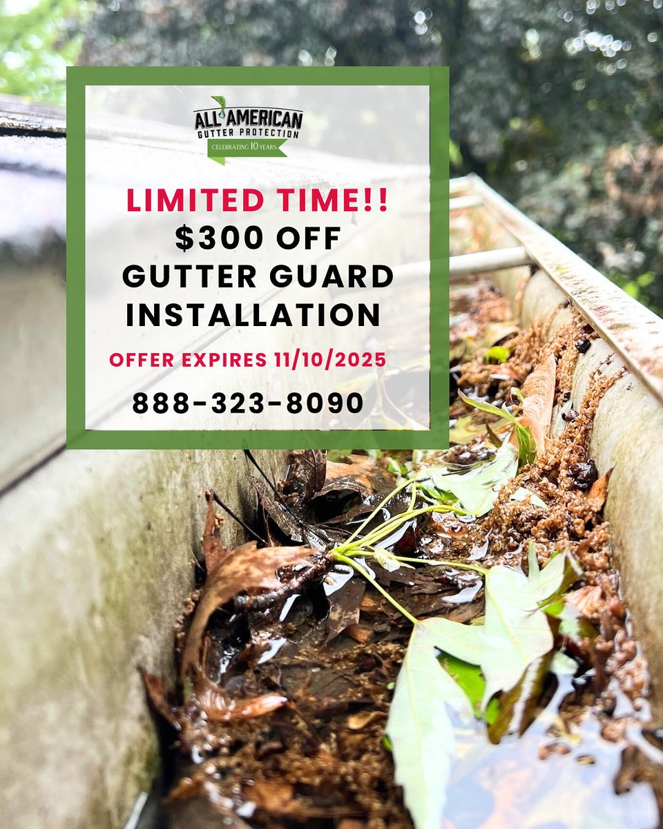 All American Gutter Protection Reviews