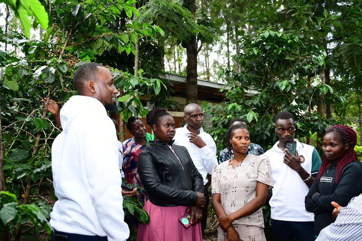 KevinDimitra's tweet image. This #MashujaaDay, I honour and celebrate the farmers, cooperative leaders, and youth champions who are driving transformation across our supply chains.
Through your commitment to @dimitratech $DMTR digitization, you are advancing traceability, compliance and unlocking new…