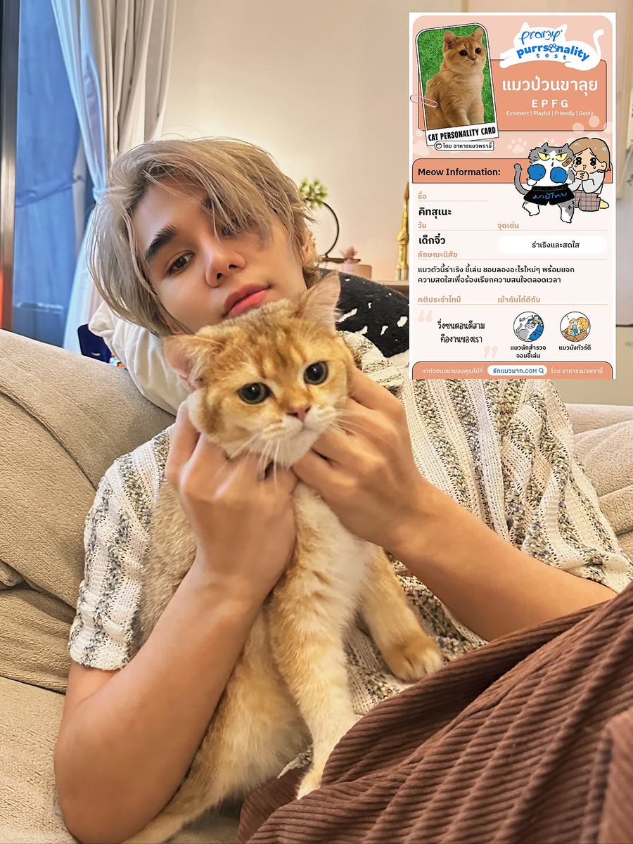 ALERTA DE FOFURA! Cada gatinho tem sua própria personalidade, e #JeffSatur entende bem isso. Ele já cuidou de mais de 10 gatinhos e continua se dedicando com muito amor e atenção a cada um deles. 💛

Com Anko e Kitsune não poderia ser diferente, cada um com seu jeitinho único.