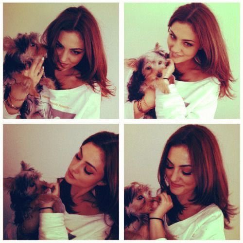 phoebethinker's tweet photo. soooo sweet https://t.co/yRIIEqA6ay