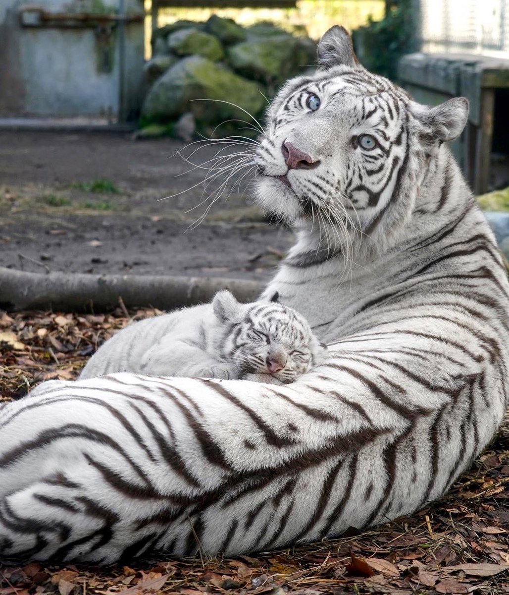 世界一安心できる場所
