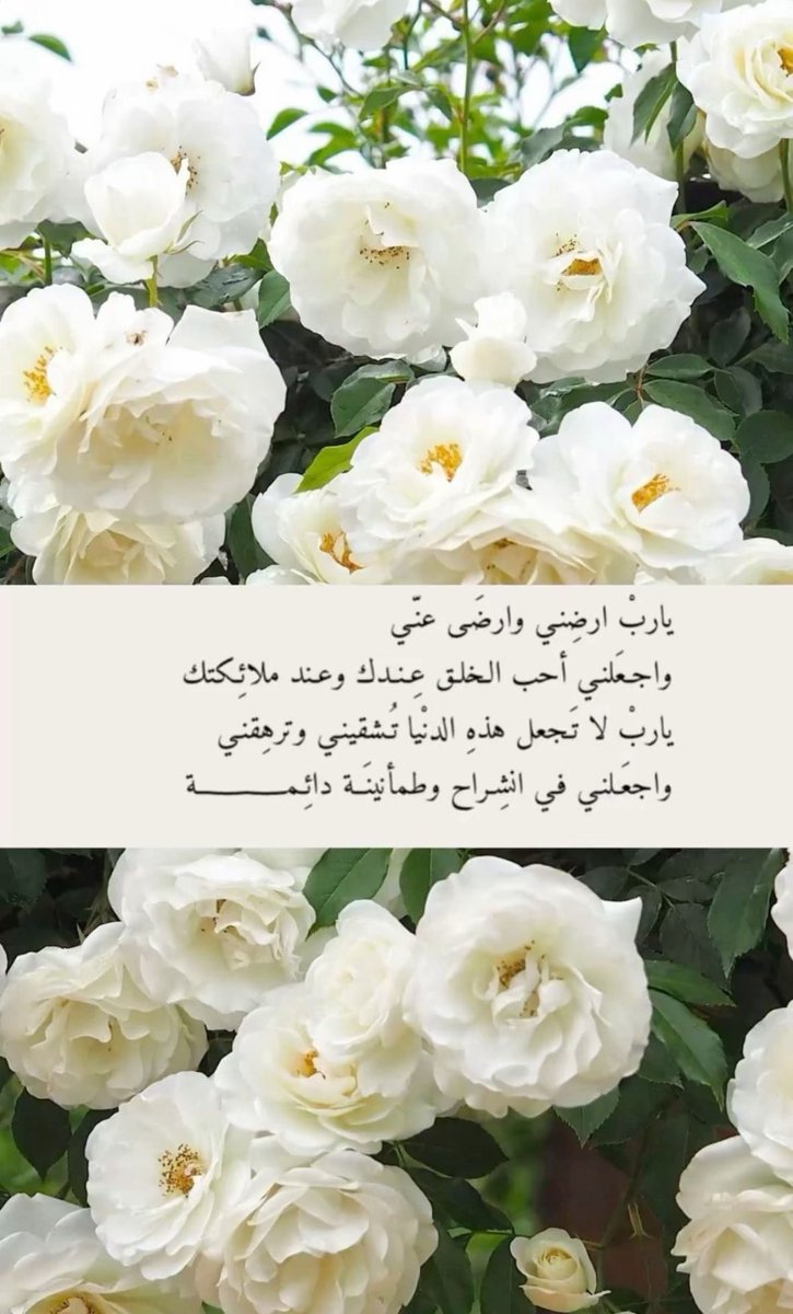 يارب لولا .. حسن ظني بلقياك 
ضاقت علي افجوج الارض الوسيعه

يارب ترزقنا .. برحمتك وارضاك 
وتجعل مكانتنا .. بـ جودك رفيعه.
🤲