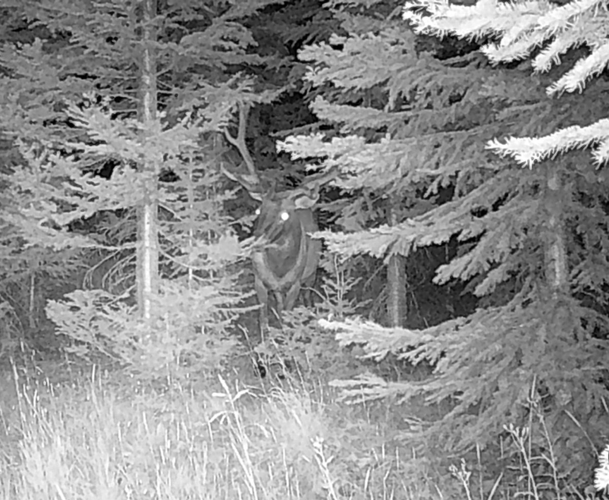 huntography tweet media