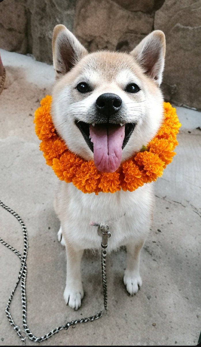 れんれんママ🦍 on X