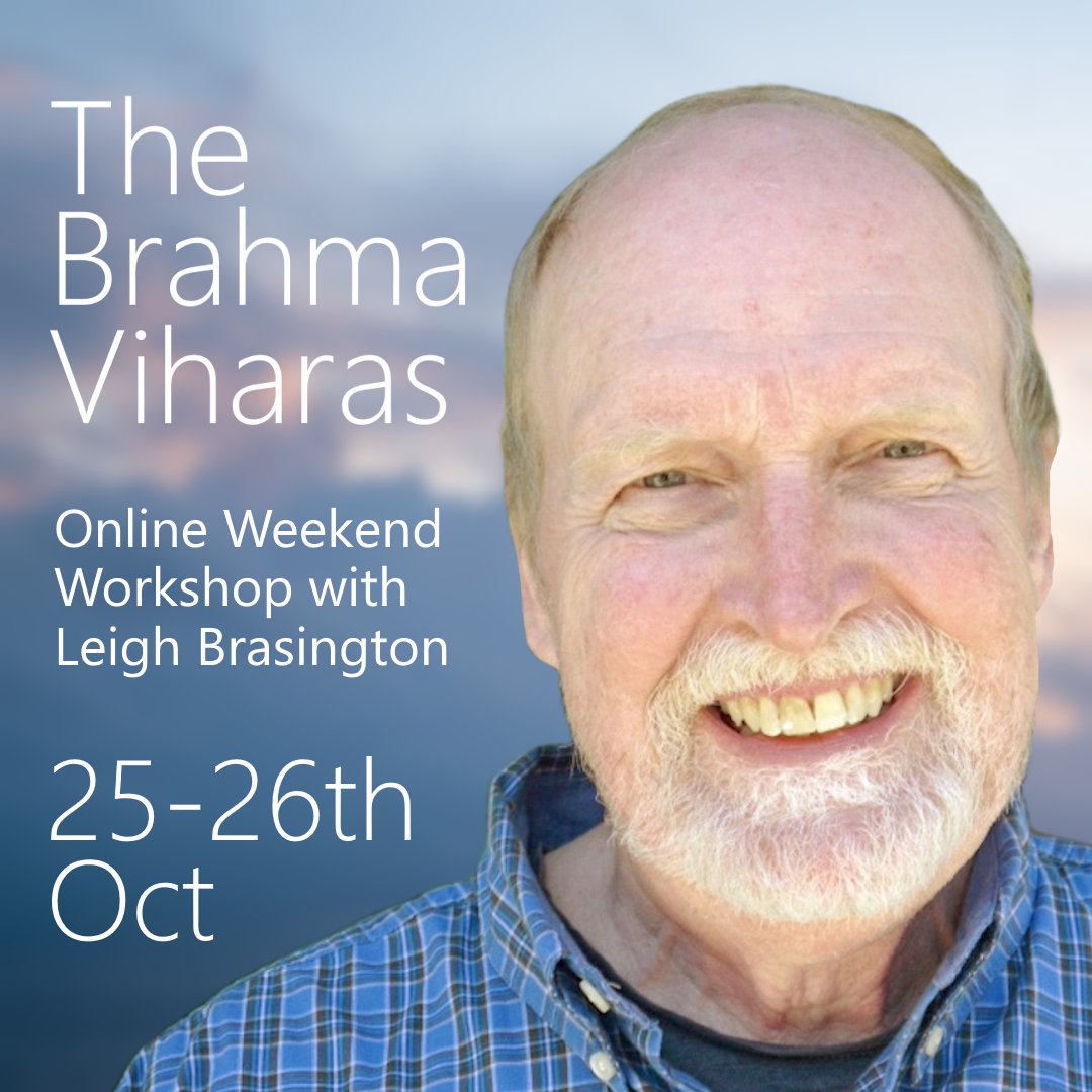 LondonInsight's tweet image. Join us this weekend on Oct 25-26th for an online workshop with Leigh Brasington.

He will explore what the original texts actually say about the four Brahma Vihara heart practices of Kindness, Compassion, Appreciative Joy, and Equanimity.

More info: londoninsight.org/event/online-w…