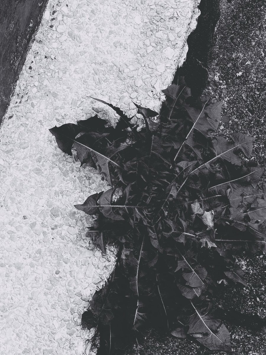 Emma (@sqnq_si3_7et) on Twitter photo 