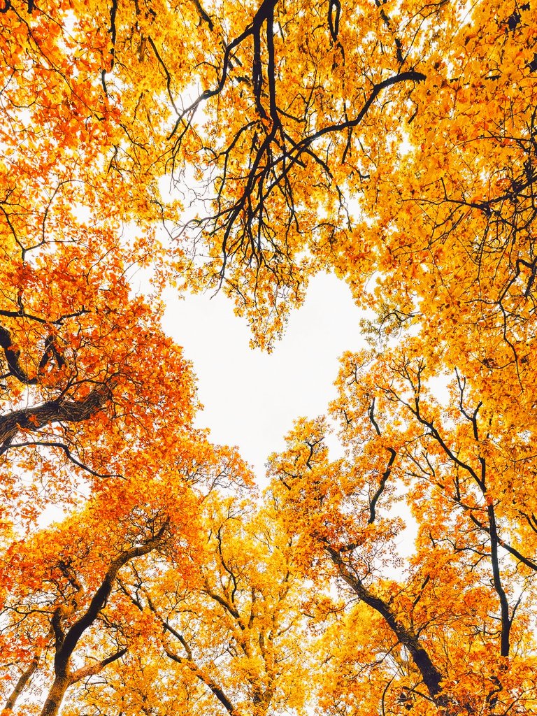 Morning 🍂☀️ Gorgeous day all