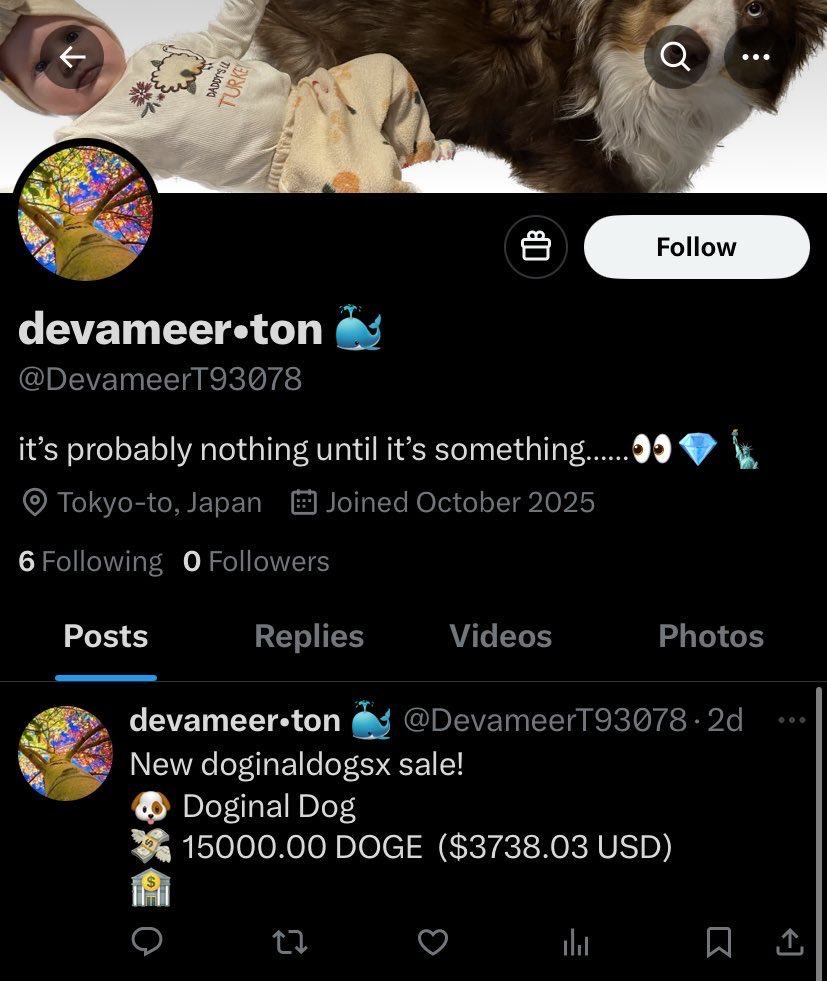 devameer0's tweet image. WARNING ⚠️ WARNING ⚠️
THESE AIN’T MY ACCOUNTS
KINDLY REPORT AND BLOCK
THANKS‼️‼️