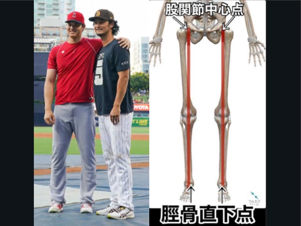 【超一流のたたずまい】 
ダルビッシュ選手や大谷選手は立ち姿から一般人と違います。脚の内側にある骨『脛骨』その骨の真下にある『脛骨直下点』で立てているためムダな筋出力に頼ることなく最大のパワーを生み出すことができています。スポーツの成績を上げたい人は、どんな練習をするかよりも
