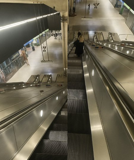 MiraiPanda 🌼 tweet media