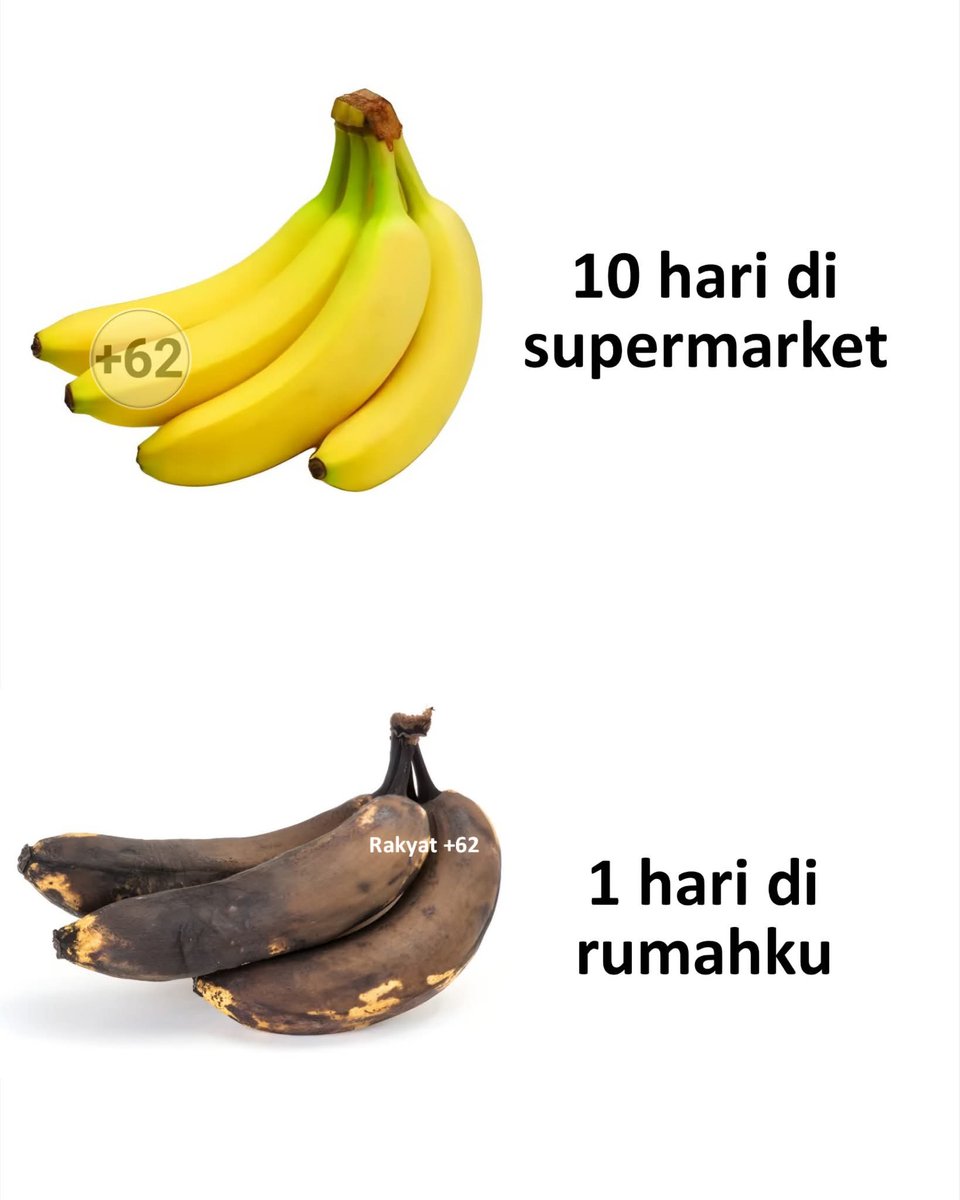 KucengTerbanggg's tweet image. Ada yg bisa jelaskan?