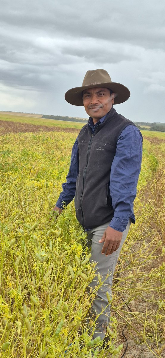 Kanch Wickramarachchi tweet media