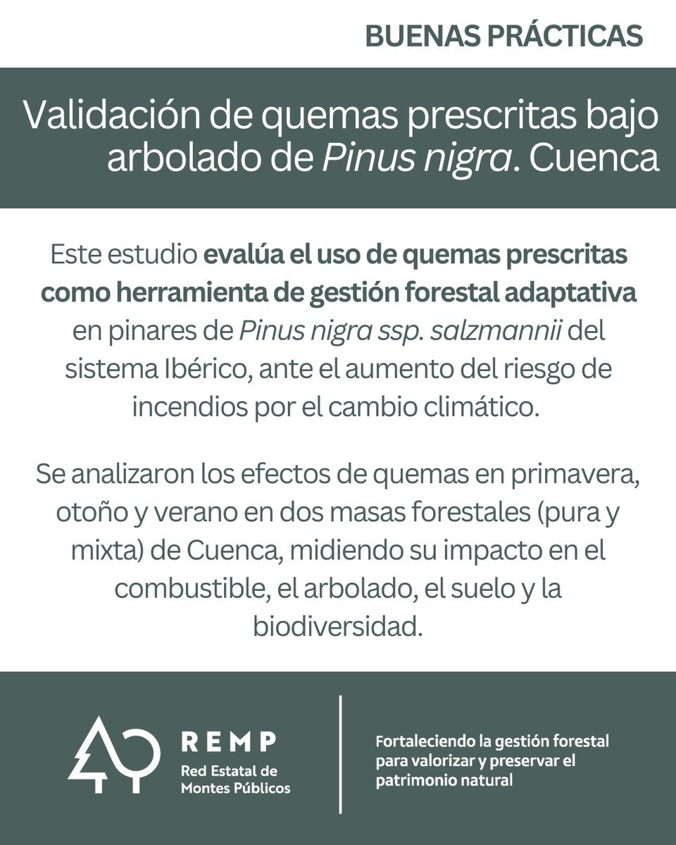 REMP_es's tweet image. ¿Sabías que las quemas prescritas son aliadas frente al cambio climático?

Conoce más sobre esta #BP_REMP en remp.es/buenas-practic…

@FBiodiversidad 

#PlanDeRecuperación #ProyectosPRTR