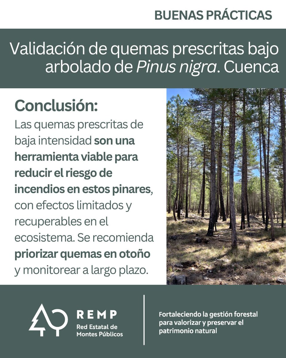 REMP_es's tweet image. ¿Sabías que las quemas prescritas son aliadas frente al cambio climático?

Conoce más sobre esta #BP_REMP en remp.es/buenas-practic…

@FBiodiversidad 

#PlanDeRecuperación #ProyectosPRTR