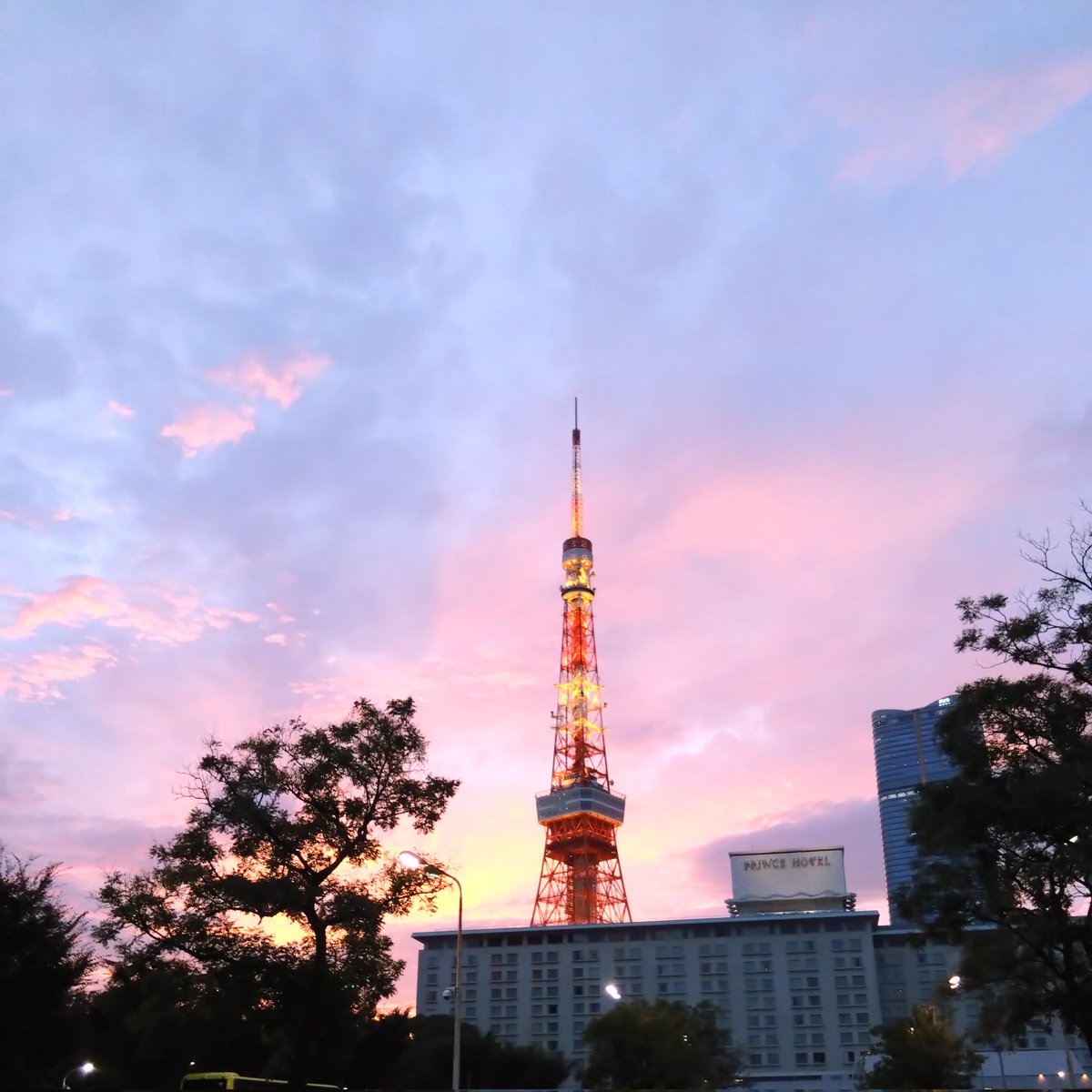 東京タワーが近めのところに行った時
空模様と合わさってあまりの美しさにみんな撮ってた