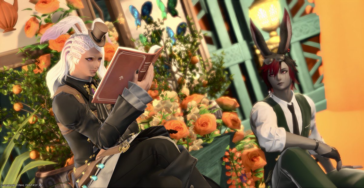 p_t_xiv's tweet image. 🏷️ #FF14_pom
🌇🌿🐰
 #FF14SS  #うさお  #3顔うさお  #ヴィエラ  #ヴィエラオス