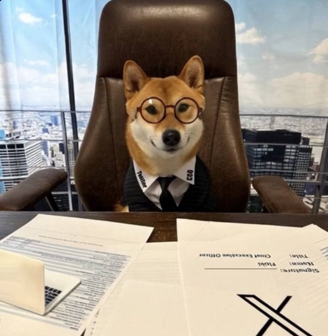 Jimmy19901229's tweet photo. $FLŌKI

We have monitored that dozens of smart wallets with historical profits exceeding 100 times are building positions in $FLŌKI，This is an epic super signal,This is the correct contract address：

Ca：
HSDME1UvMj8gWUn5PyaoKQEaVWutsAg6E9QHcZKczqL3 https://t.co/rO2ZOtVUBp