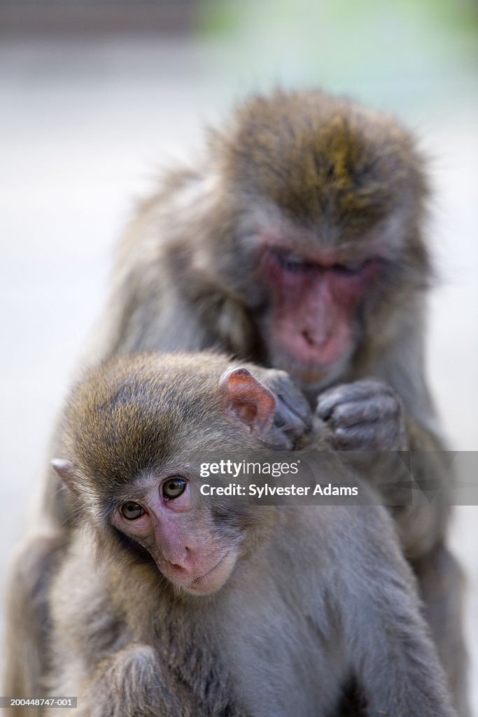 Barney Calhoun tweet media