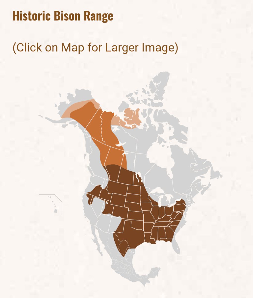 PatrickHeizer's tweet image. North America has the highest quality grasslands and savannas in the entire world.

We could and should be entirely independent from globalized meat production.

Any meat import is a policy error.