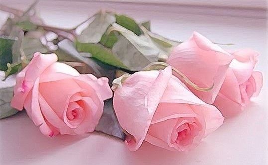 ahmedgo03428358's tweet image. ٰ
                     مساء الخير
               لمن ڪان حضورهم...
      ڪشذى الياسمين يعطر قلوبنا....
الذين إذا حلوا حل معهم الأمل والتفاؤل...
       لڪل من أحبهم القلب وأعزهم....
                مساڪم ورد...♥