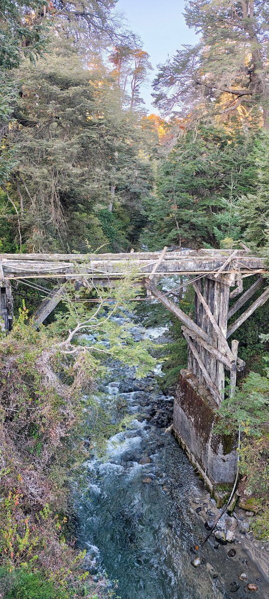 Matías Giovannini tweet media
