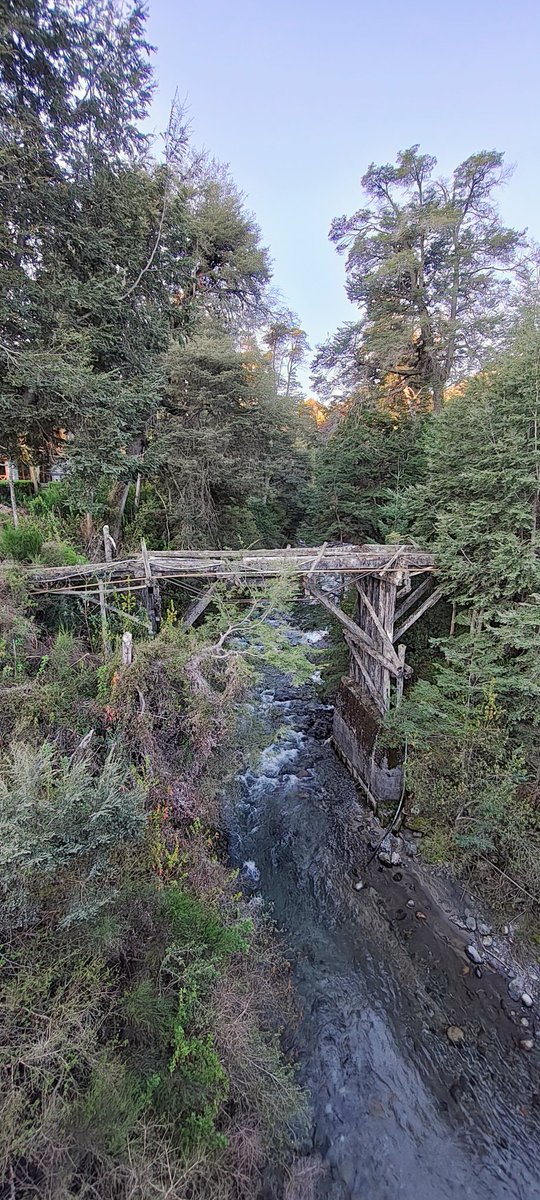 Matías Giovannini tweet media