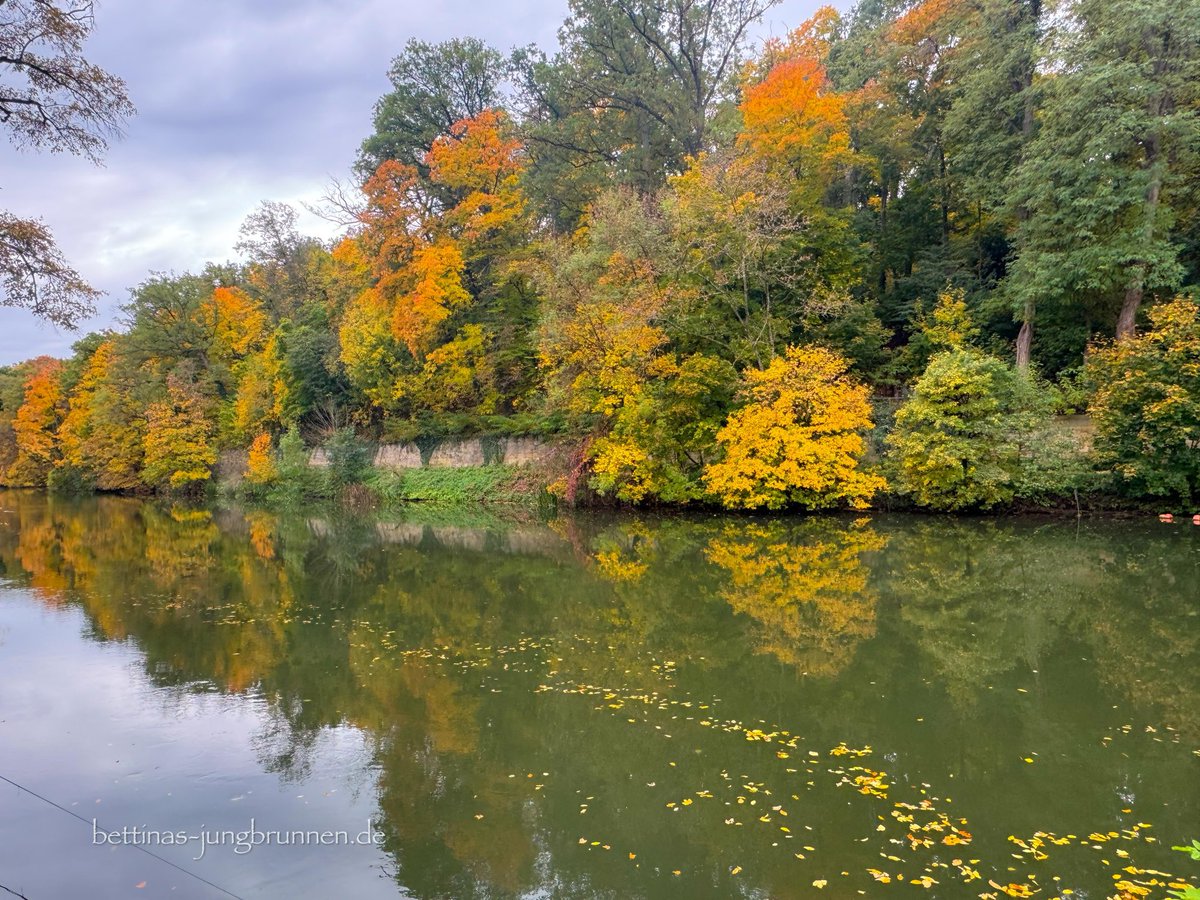 30 Minuten Naturaufenthalt senken nachweislich den Kortisolspiegel. Meine Mittagspause heute: Herbstspaziergang statt Essen am Schreibtisch. Das bunte Laub spiegelt sich im Wasser - und ich genieße diesen Moment.
