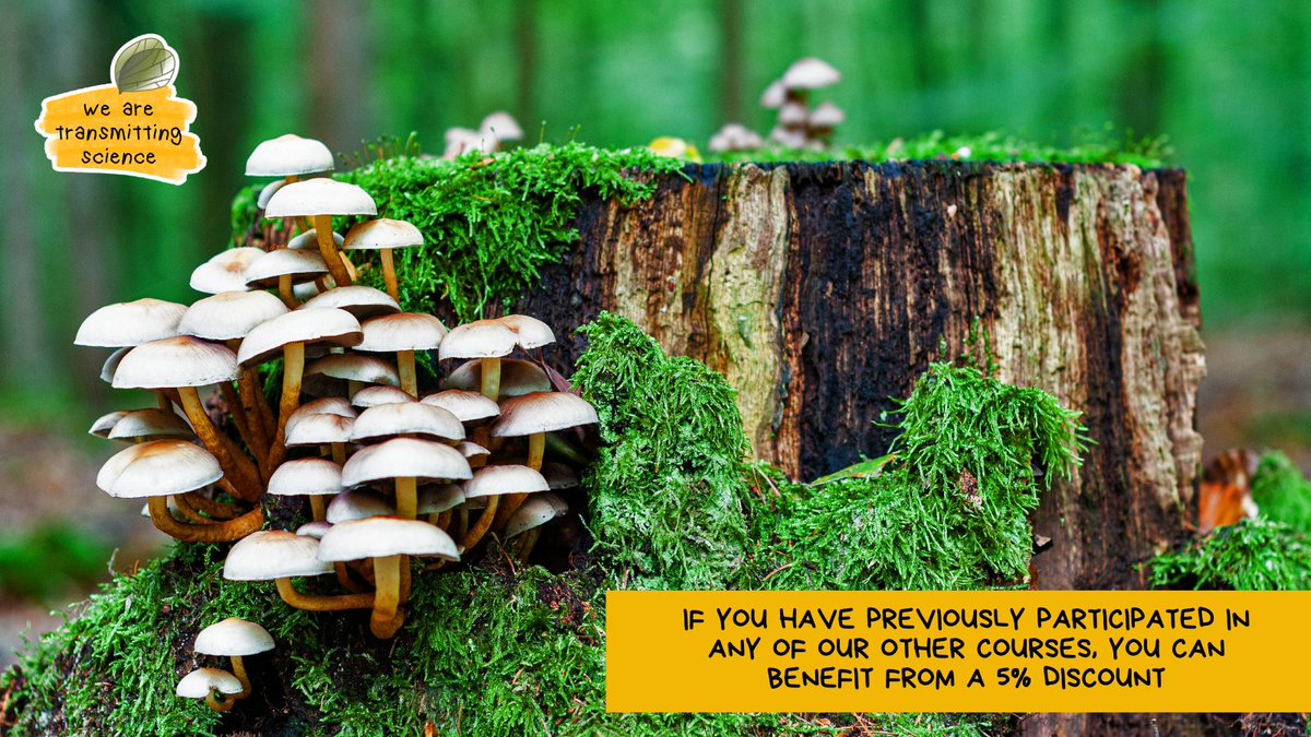 TransmitScience's tweet image. ✨ How might it feel to reconnect with our learning community?
Researchers who have joined our courses before can benefit from a 5% discount. It’s always a pleasure to see familiar names and faces among our participants.

#WeareTransmittingScience