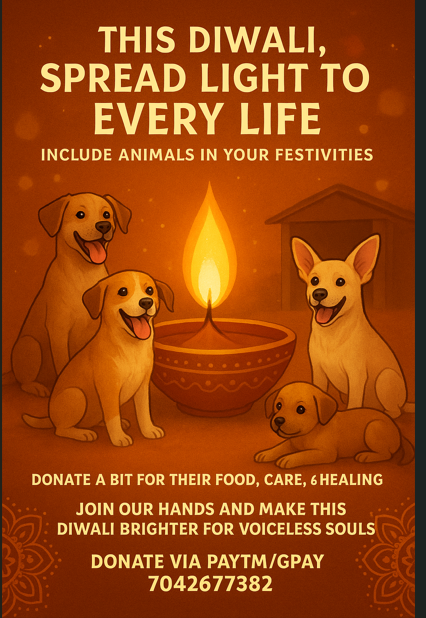 TheViditsharma's tweet image. On this auspicious day of Diwali, let’s spread light not just in our homes but in the lives of voiceless souls too.
Please donate a bit for animals include them in your festivities and make this Diwali truly meaningful.
Join our hands and enable us to do more for them.
Every…
