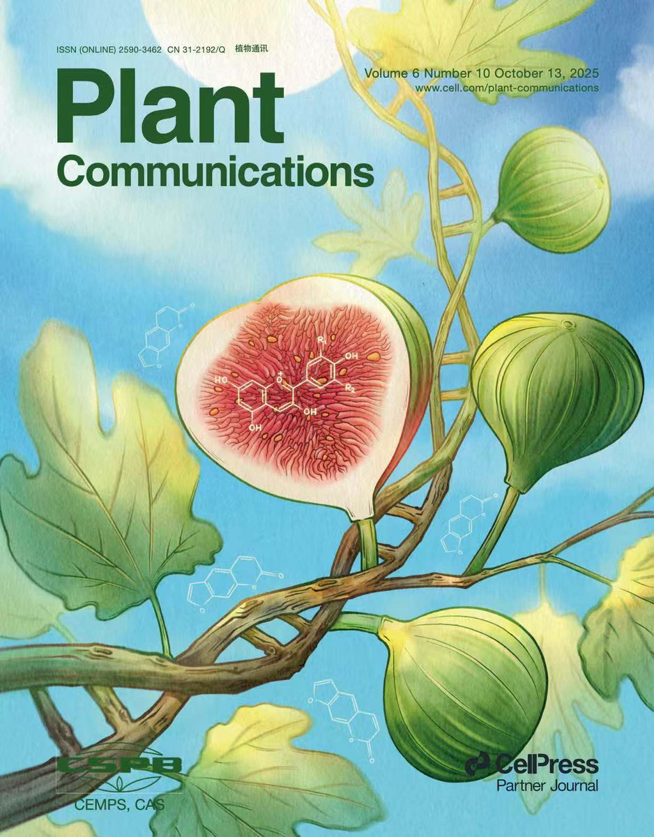 CellPressNews's tweet photo. October issue of #PlantCommunications (@MPlantPCom) is online: https://t.co/KlpESFxEHr https://t.co/34LP08EL7I